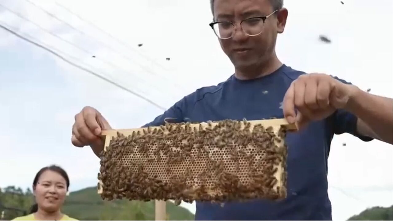 男子投资200多万元建起了蜂场,经过他的改良,竟提高了蜂箱的产量