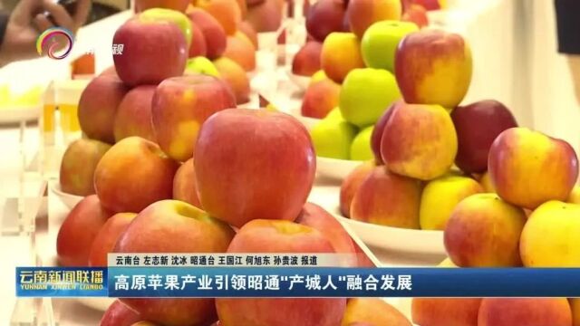 云南台【云南新闻联播】头条播出《高原苹果产业引领昭通\