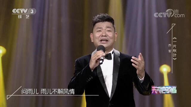 《一片秋叶》作词:邓洪伟 作曲:李向阳 演唱:乔军