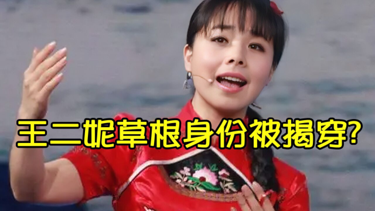 王二妮草根歌手身份被揭穿?经受过专业训练,瞒了观众十几年