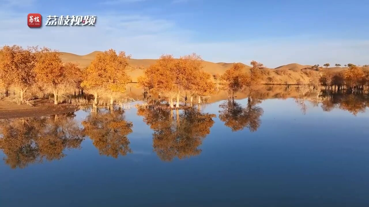 金秋壁纸!新疆塔里木河两岸胡杨缤纷耀眼