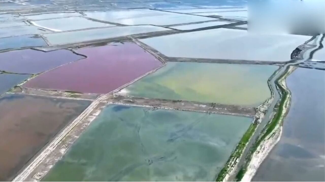 山西运城:高温天气影响,盐湖呈七彩景观