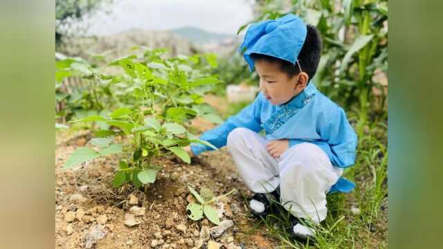 春雨惊春清谷天,夏满芒夏暑相连……幼儿园娃们高歌二十四节气歌