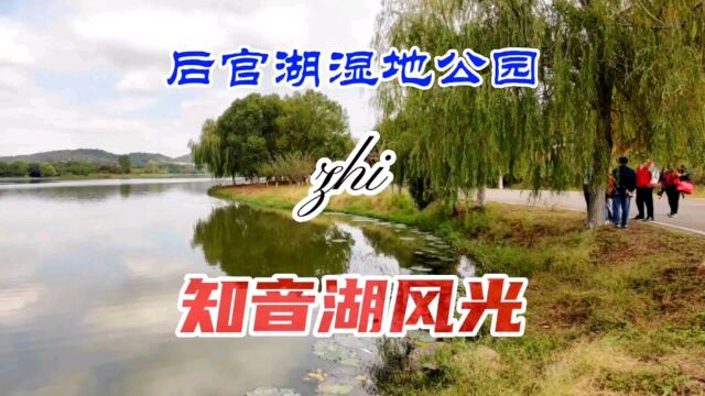 风光旖旎 心旷神怡 秋游蔡甸后官湖湿地公园之知音湖