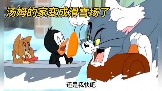 猫和老鼠