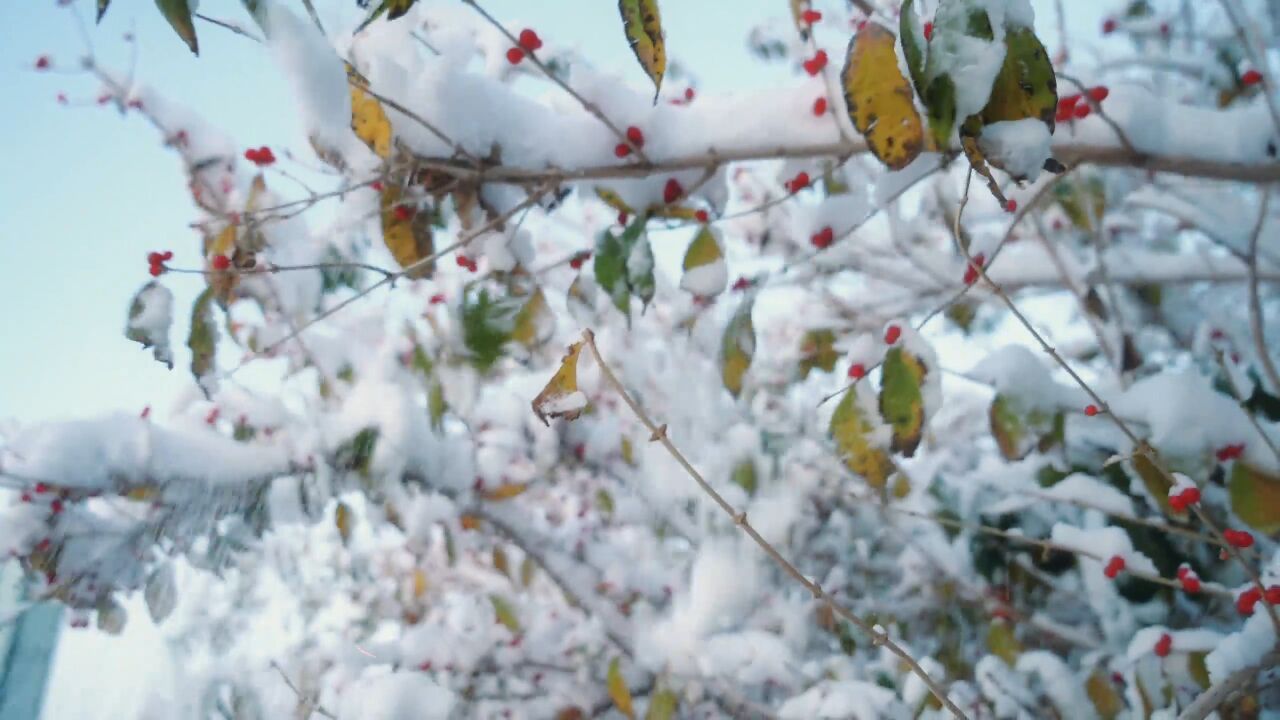 冰雪奇缘探索阿右旗之美