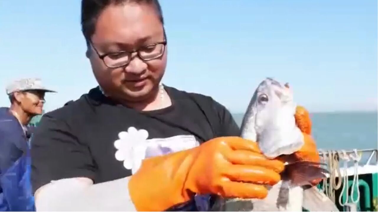 游客包船出海捕捞,不一样的体验让游客玩的开心,还能品尝到不一样的美味