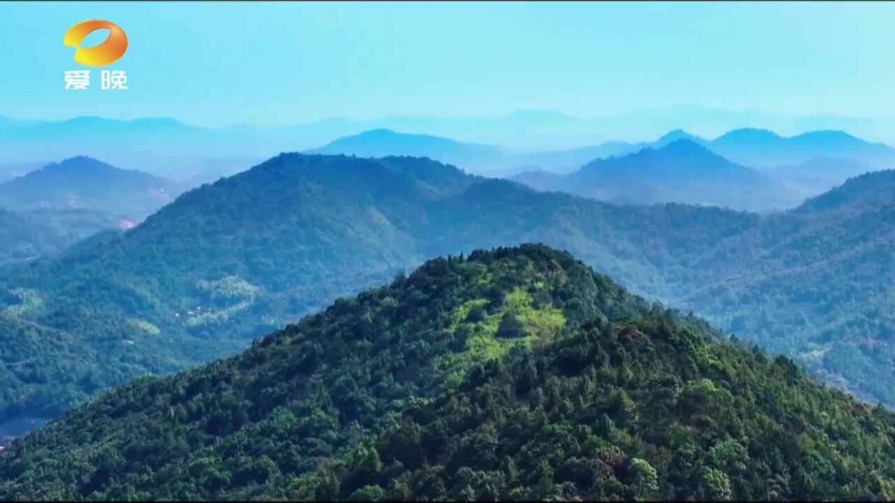 严防!林海深处防未燃:网格化管理助力湘潭七星村11年无森林火情