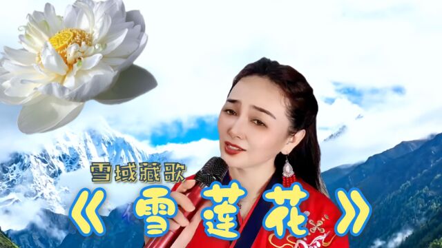 雪域藏歌《雪莲花》歌声悠扬动听,触动心灵,谁听谁醉,令人回味