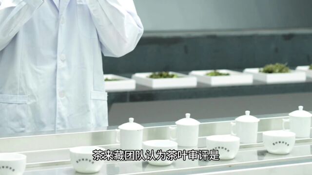 茶来藏团队研究从实际工作角度提出福建陈年白茶感官品质特征,对陈年白茶感官常见品质问题进行分析并总结审评技巧,以期能提升陈年白茶贸