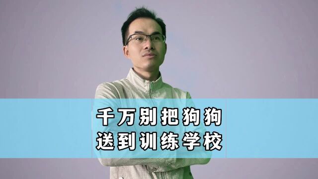 千万别把狗狗送到训练学校