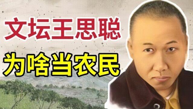 日本作家|宫泽贤治:富二代放弃继承家产,去当穷苦农民