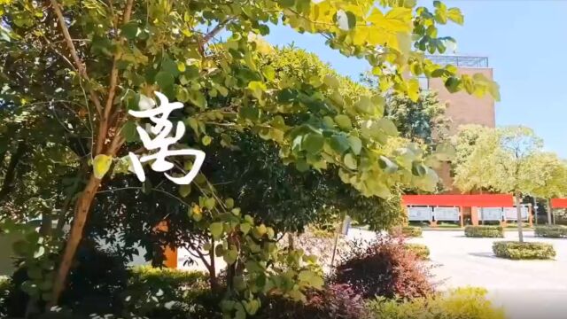 视频丨天元小学:栀子花开的盛夏 我们毕业啦