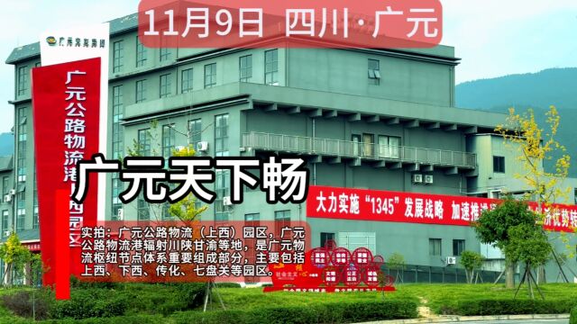 实拍广元上西公路物流园,货物吞吐量近2000吨,已入驻44家企业!