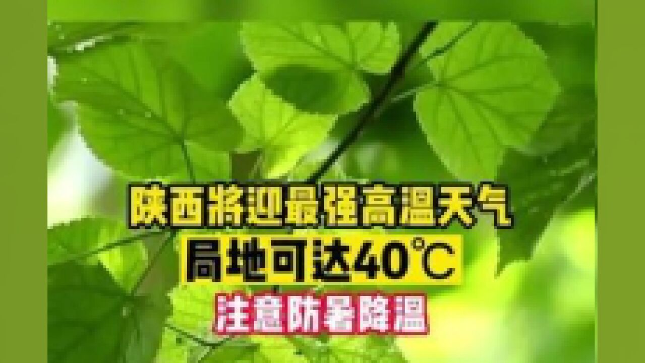 陕西省宝鸡市,陕西将迎今年最强高温