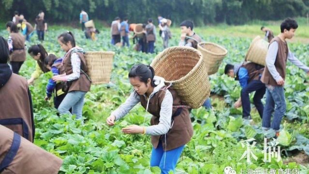 让劳动创造美好生活,从乐其农耕研学开始!