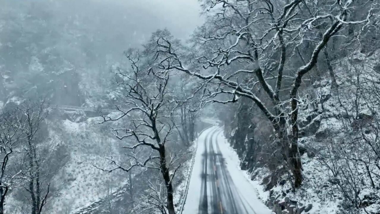 神农架迎立冬后首场降雪 雪中群山如白龙万千,玉挂森林如银装素裹