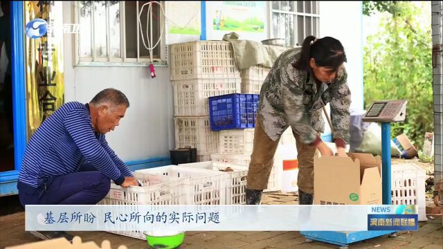 漯河市舞阳县:深化调查研究 着力破解难题|学思想 强党性 重实践 建新功