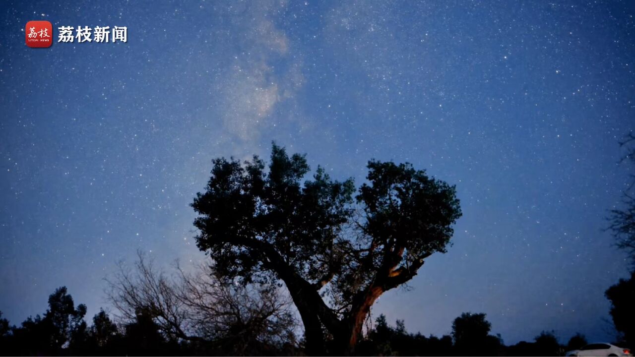 星河浪漫!新疆哈密银河星海与爱心树同框