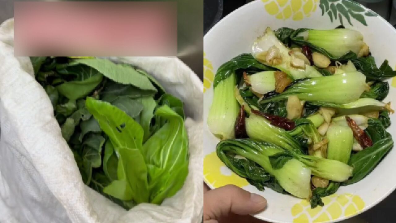 85后女房东给租客送自家蔬菜,每周1次每次30斤:能住一起是缘分