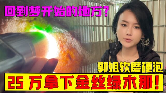 回到梦开始的地方?郭姐软磨硬泡,25万拿下绝美金丝绿木那!