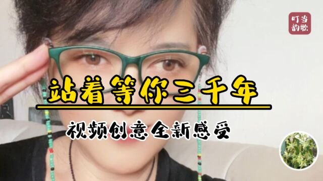 《站着等你三千年》视频创意全新感受!