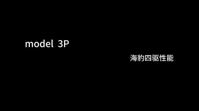 特斯拉model3P版,比亚迪海豹四驱性能版零百616加速测试.#直线加速 特斯拉车主特斯拉车主海豹车主