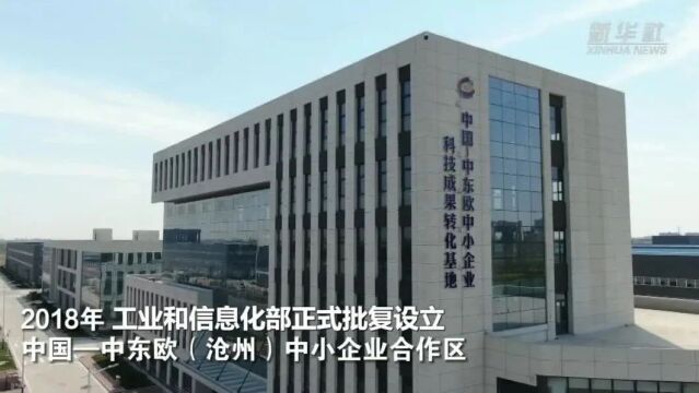 河北沧州:大运河畔强合作 中小企业外贸忙