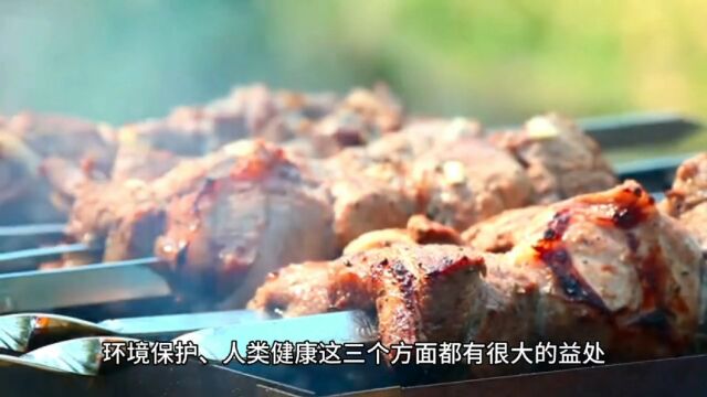 今天一次性说清楚人造肉!