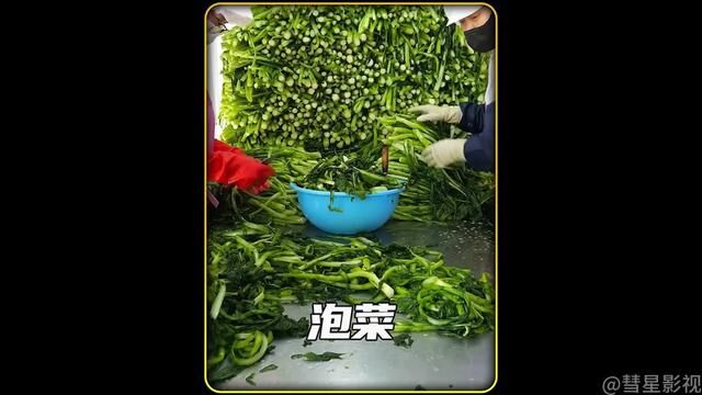 韩国的泡菜是怎么做的?#美食 #泡菜 #纪录片