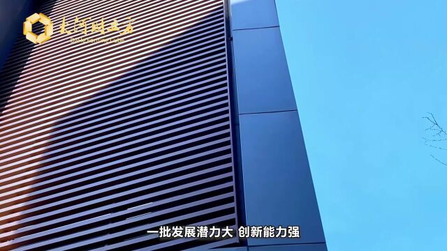 千亿级大产业支撑,临空经济如何在郑州航空港“凌空”?丨风口产业 民企力量④