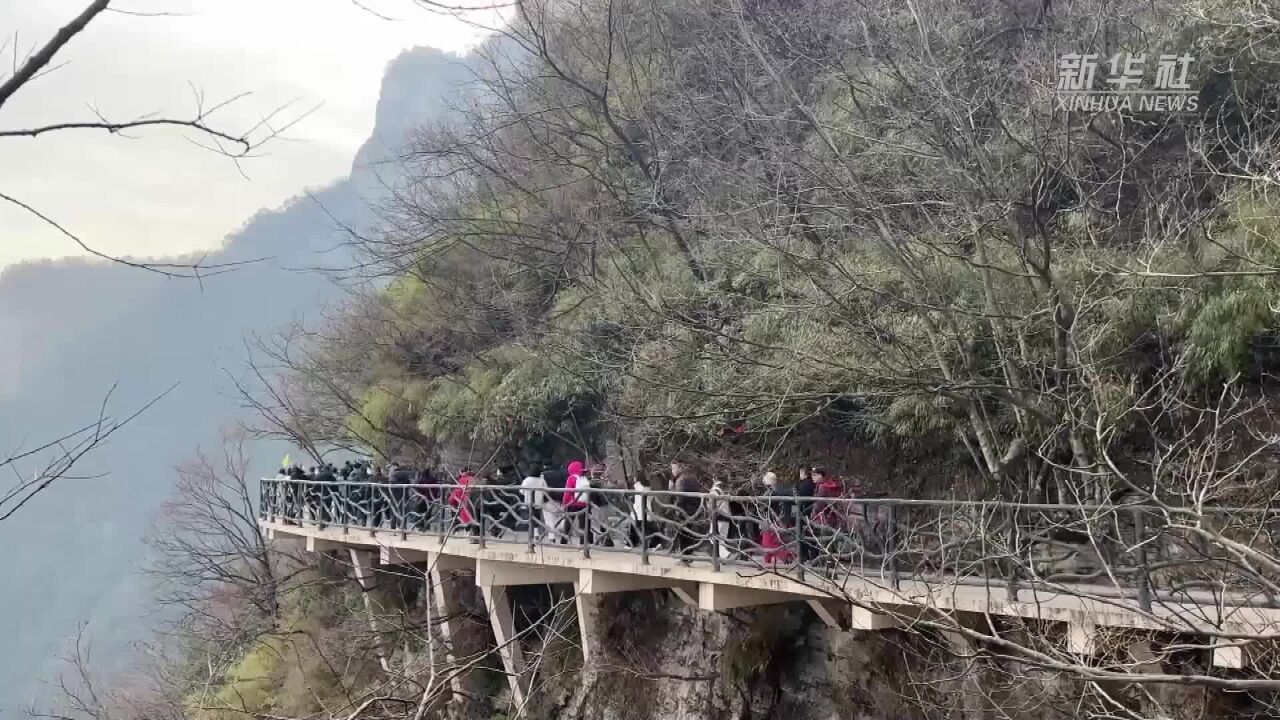 张家界天门山景区今年游客接待量突破500万人 创历史新高