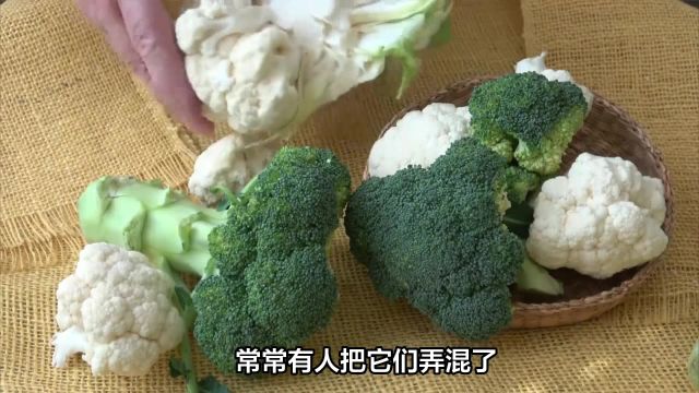 西兰花和花菜有什么区别?营养差别这么大,不知道亏大了