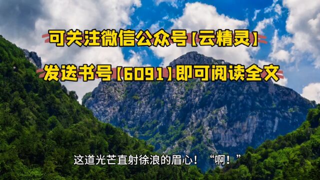 《开局黄金眼从鉴定元青花开始》徐浪全文免费阅读○(完结小说)