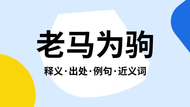 “老马为驹”是什么意思?