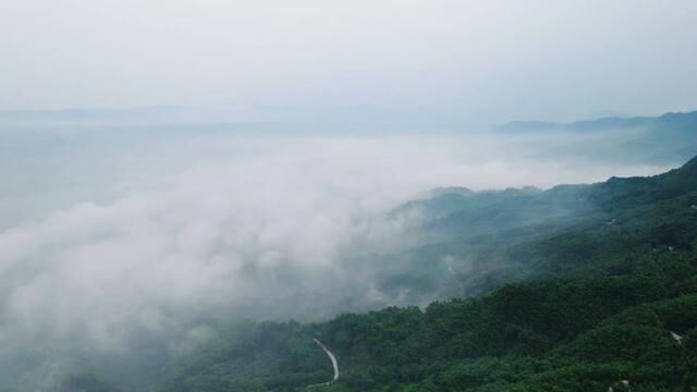 蜀南竹海|走进电影中的云山竹海 #蜀南竹海 #治愈系风景 #云雾缭绕人间仙境