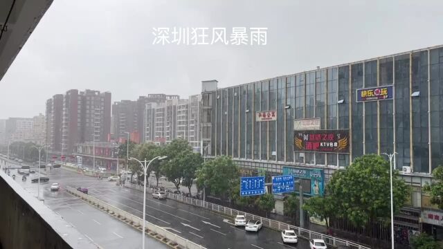 深圳狂风暴雨.