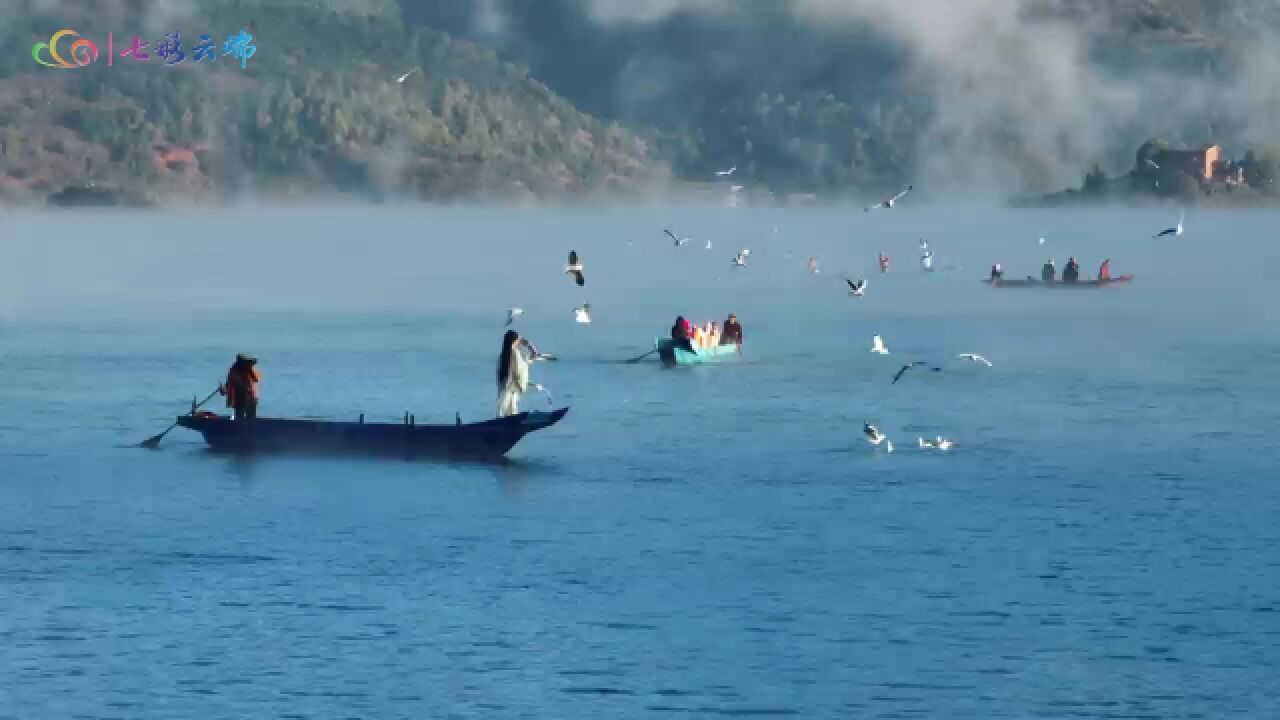 太仙了!冬日泸沽湖迎来最美“晨雾季”