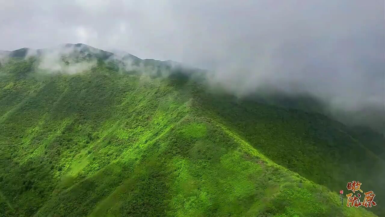 瞰陇原|陇西:云飞雾锁桦林山