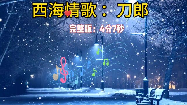 刀郎 经典歌曲《西海情歌》