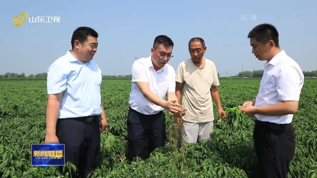 打造乡村振兴齐鲁样板丨山东:因地制宜 发展乡村特色产业