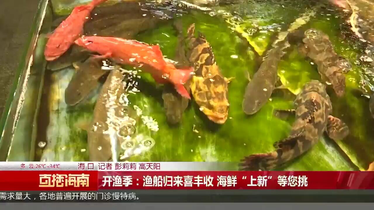 开渔季:渔船归来喜丰收 海鲜“上新”等您挑