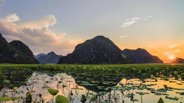 见识了大理和丽江的喧闹,那就来文山享受旅行的惬意吧.云南文山旅游攻略,普者黑景区#带你游云南