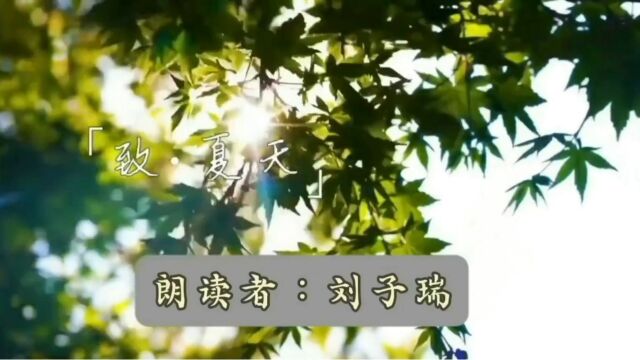 1.4 刘子瑞 《致夏天》