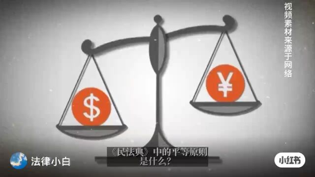 1.生活中的民法典——平等原则