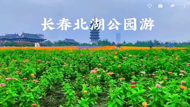 长春北湖公园游