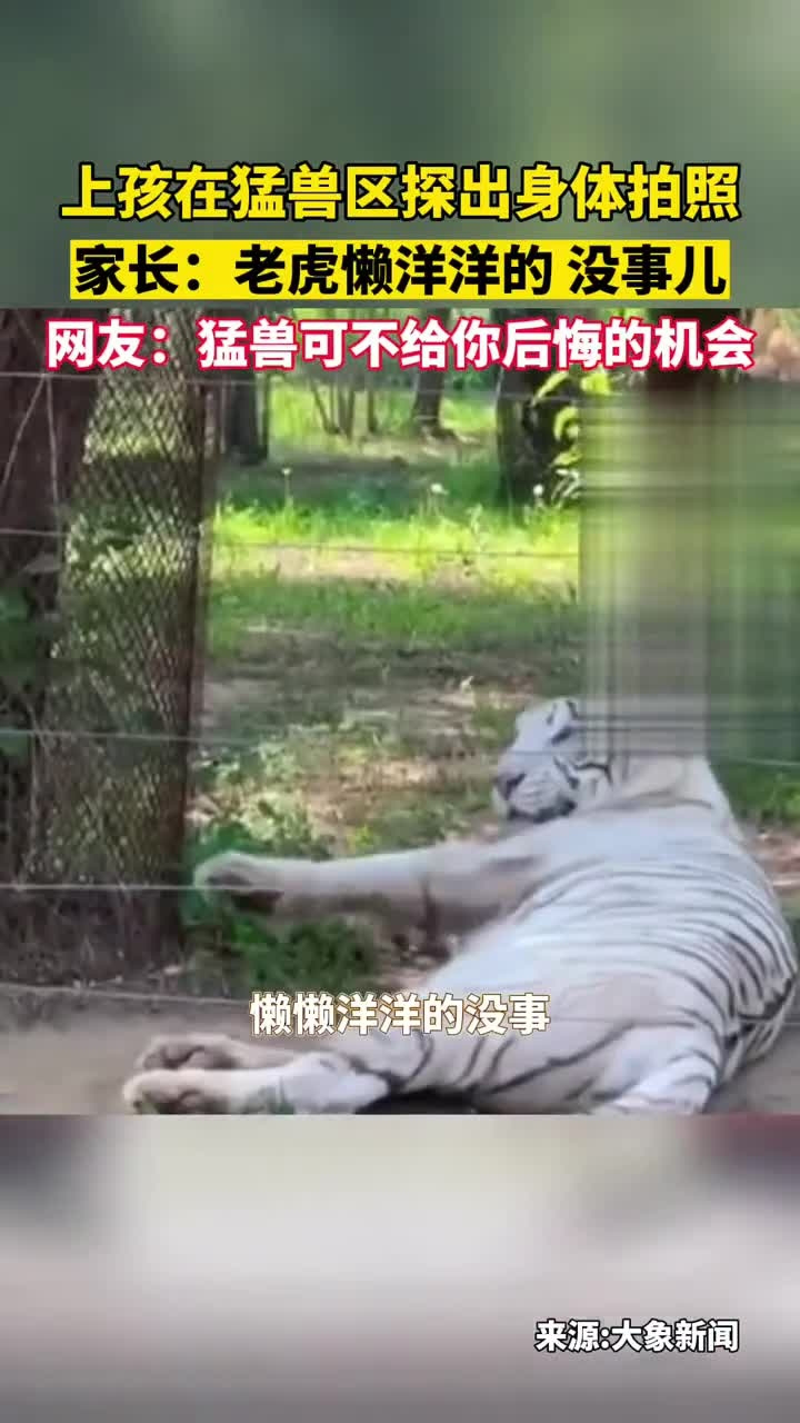离谱！两个孩子在白虎园探出上半身拍照，家长居然说没事-腾讯新闻