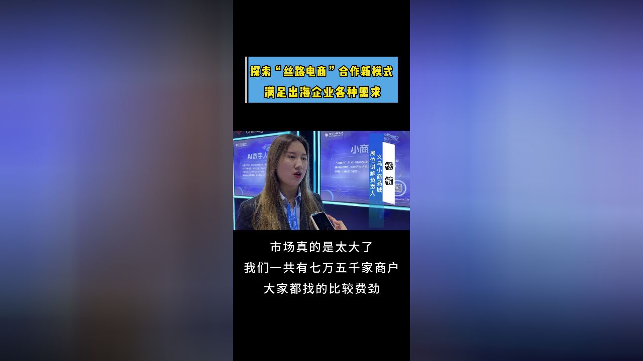 探索“丝路电商”合作新模式 满足出海企业各种需求