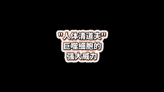 “人体清道夫”巨噬细胞的强大威力