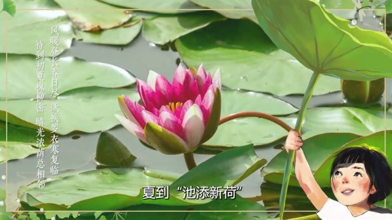 二十四个节气二十四首诗 尽览四季“诗情画意”